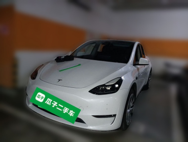 Tesla Model Y 2021 Tesla Model Y 2021 immagine di auto