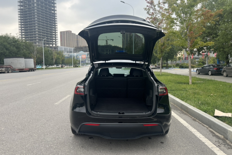 Tesla Model Y 2023 #19 Tesla Model Y 2023 car image #19