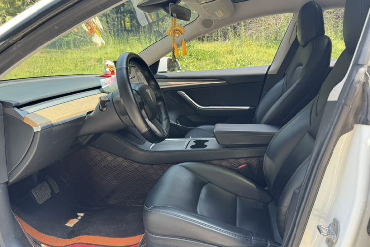Tesla Model 3 2021 #11 Tesla Model 3 2021 car image #11