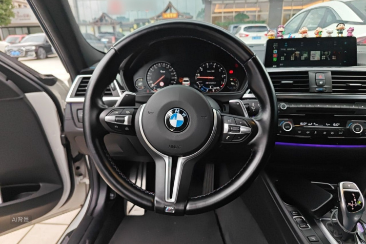 BMW 3 Series 2017 car image #12