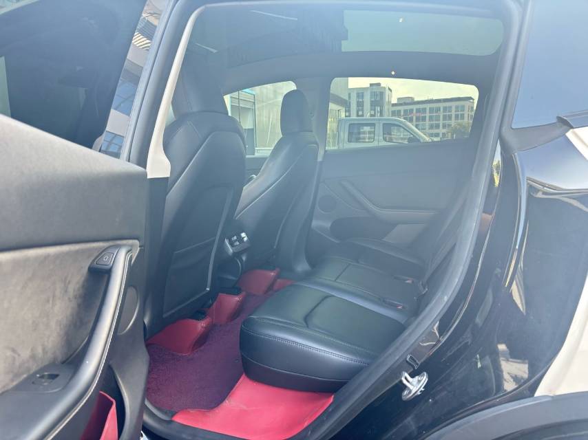 Tesla Model Y 2024 car image #6