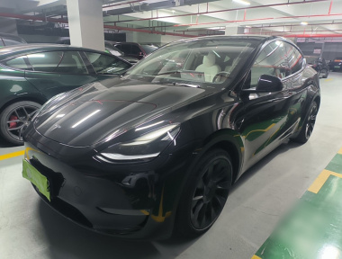 Tesla Model Y 2021 car image 
