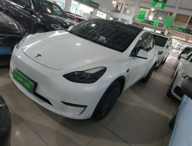 Tesla Model Y 2021 Tesla Model Y 2021 car image