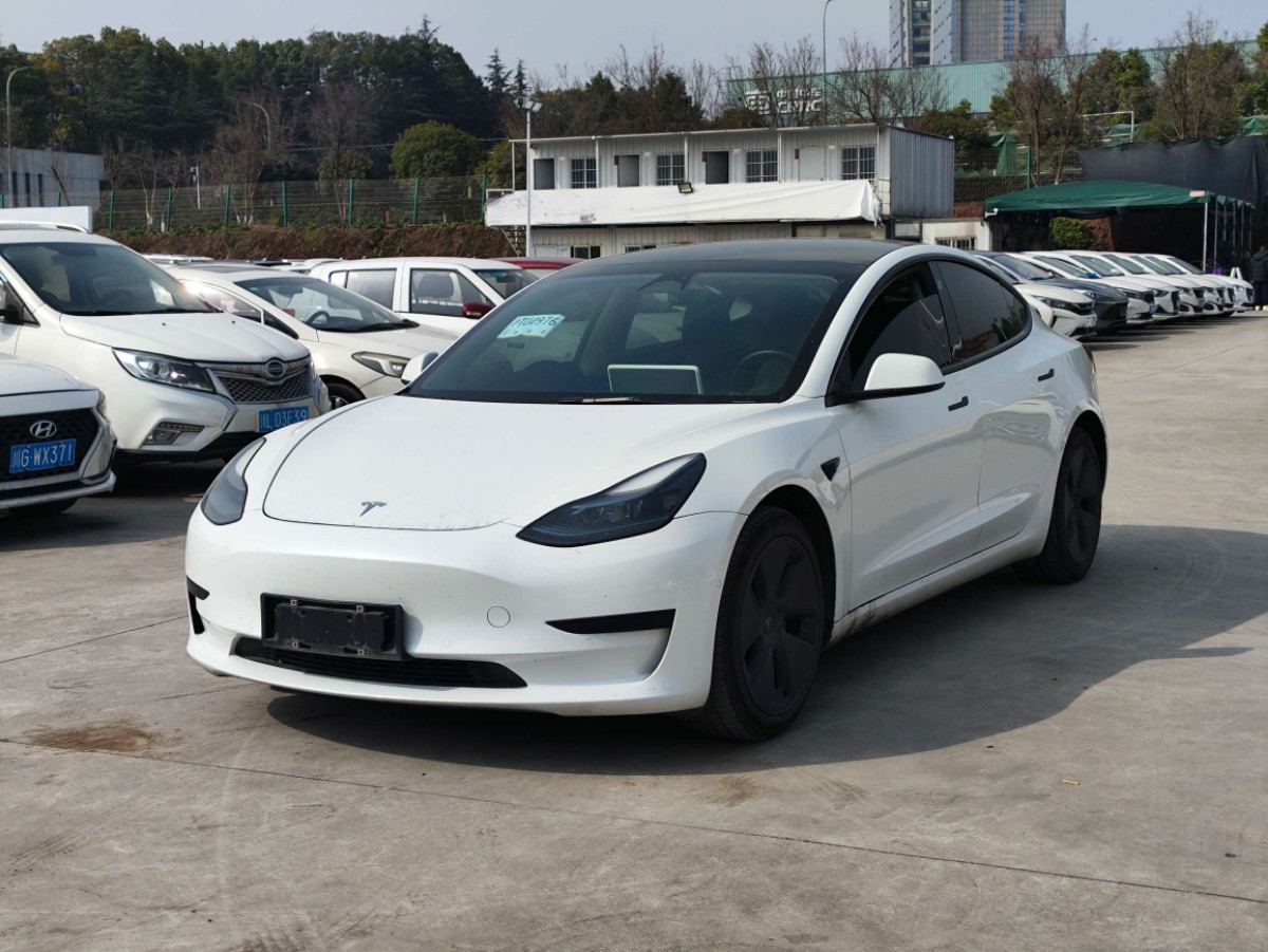 Tesla Model 3 2023 car image 