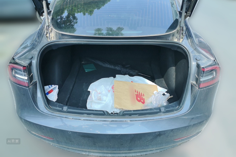 Tesla Model 3 2020 car image #21