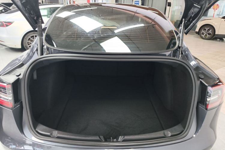 Tesla Model 3 2023 car image #19