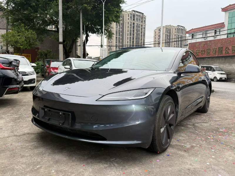 Tesla Model 3 2024 Tesla Model 3 2024 car image