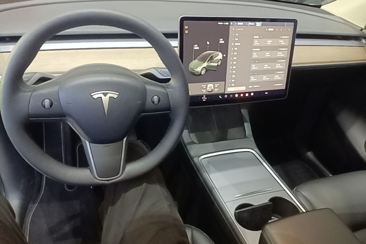 Tesla Model Y 2021 car image #10