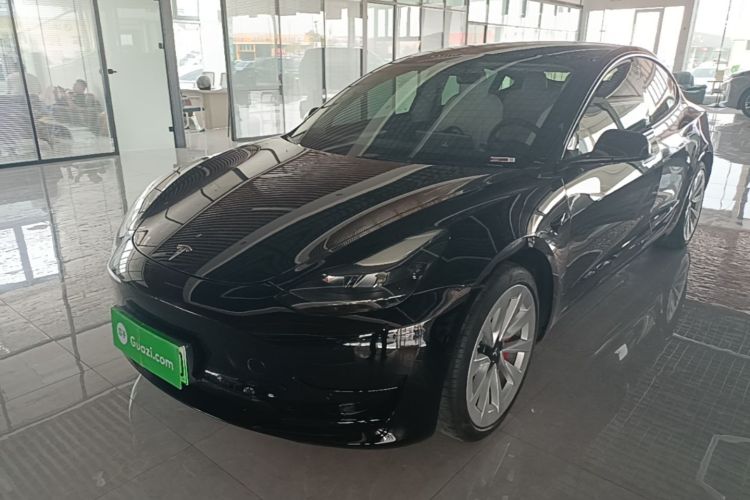 Tesla Model 3 2021 #2 Tesla Model 3 2021 car image #2