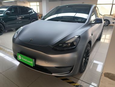 Tesla Model Y 2021 Tesla Model Y 2021 car image