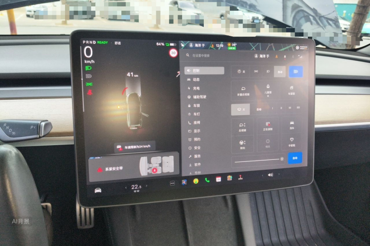 Tesla Model 3 2021 car image #13