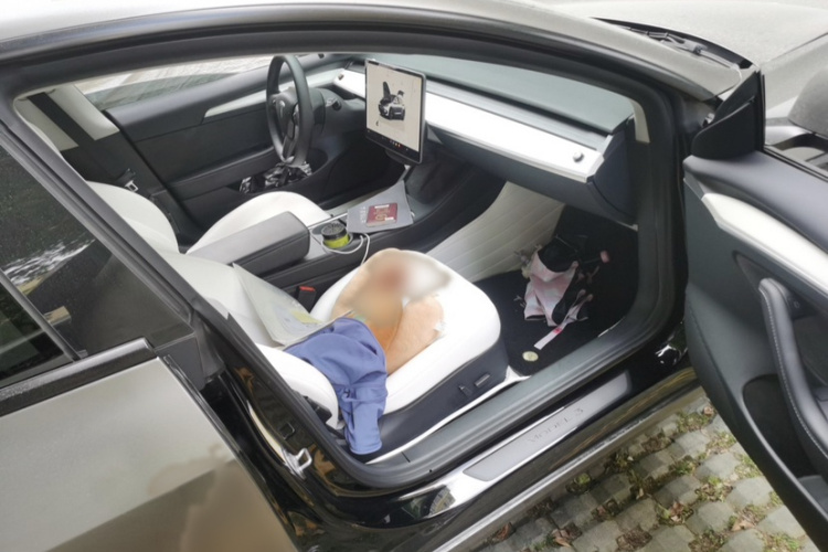 Tesla Model 3 2022 #11 Tesla Model 3 2022 immagine di auto #11