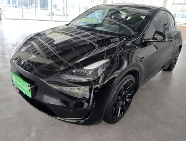 Tesla Model Y 2023 Tesla Model Y 2023 car image