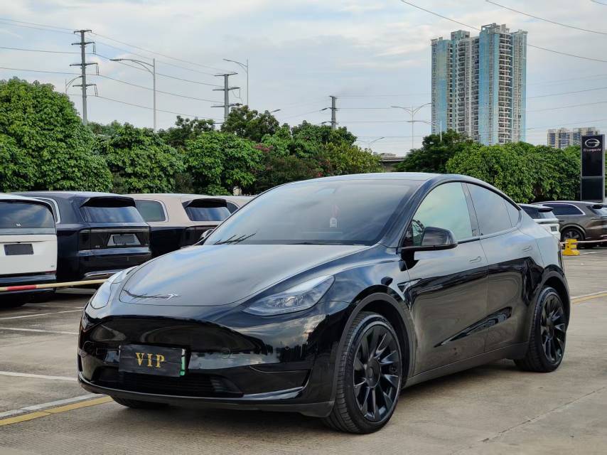 Tesla Model Y 2022 Tesla Model Y 2022 car image