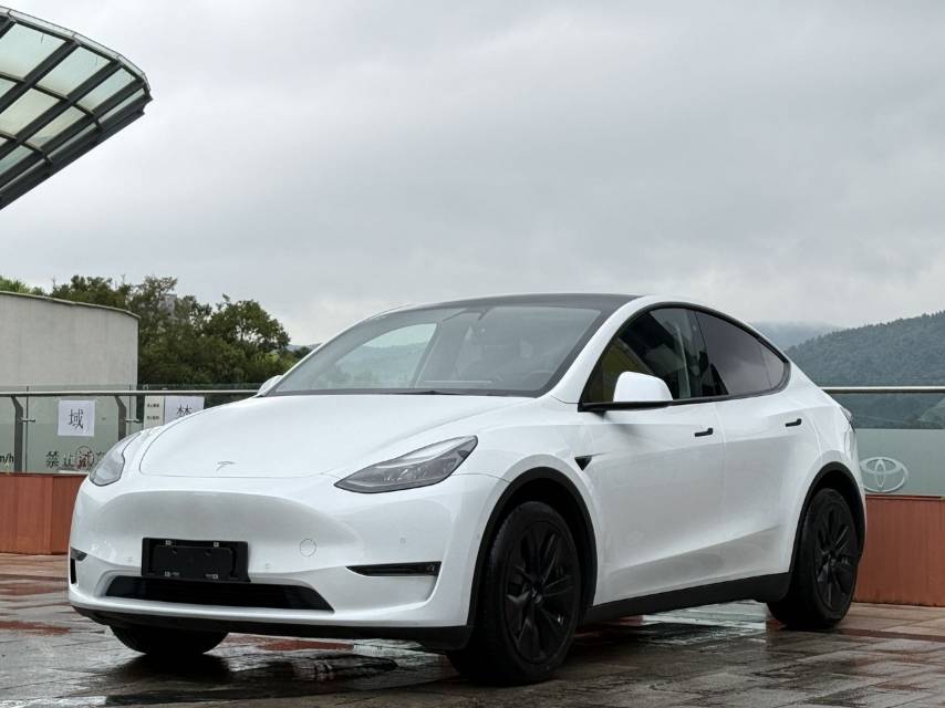 Tesla Model Y 2021 car image 