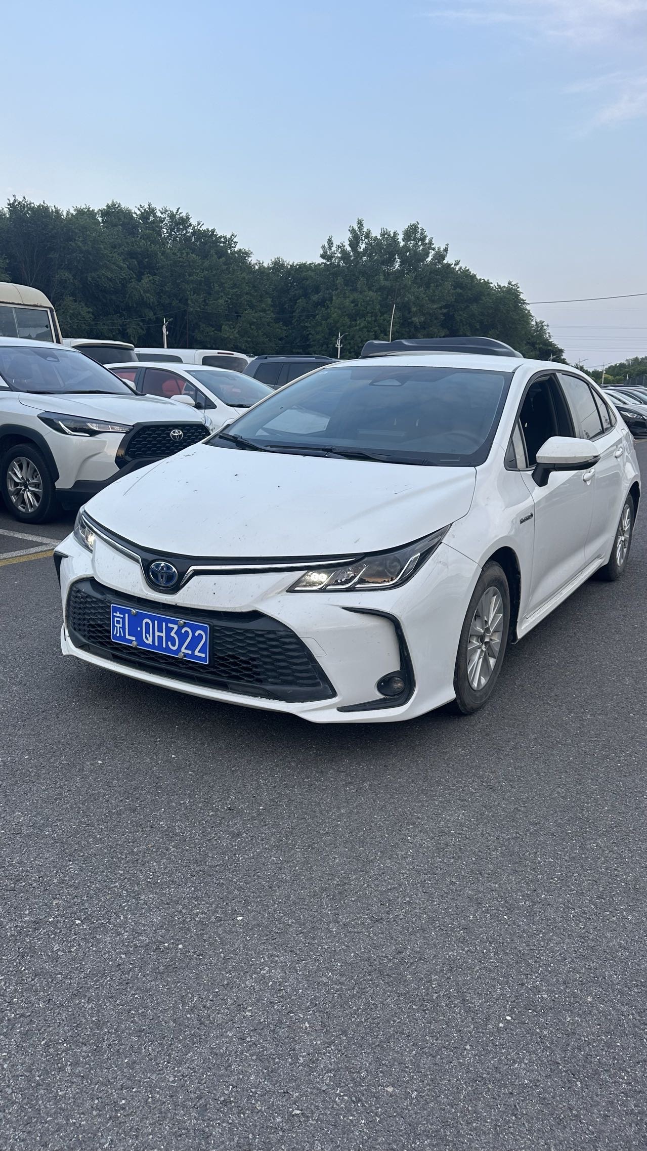 Toyota Corolla 2023 car image 