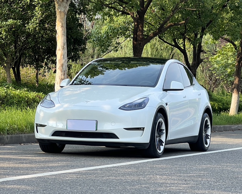 Tesla Model Y 2022 Tesla Model Y 2022 car image