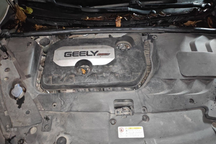 GEELY Emgrand GS 2017 car image #22