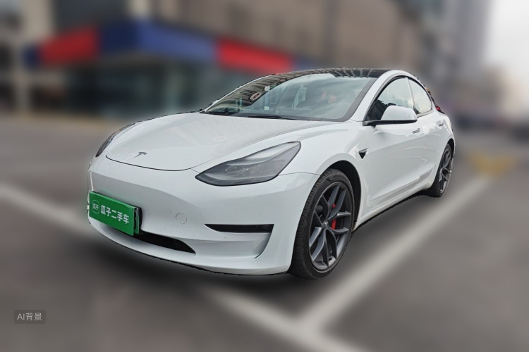 Tesla Model 3 2021 car image #2