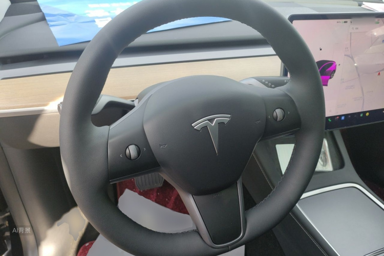 Tesla Model Y 2021 car image #12