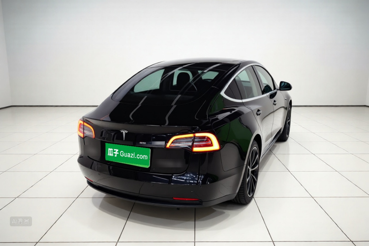 Tesla Model 3 2020 car image #6