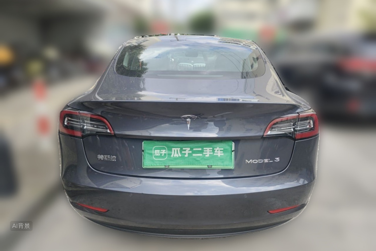 Tesla Model 3 2020 car image #6