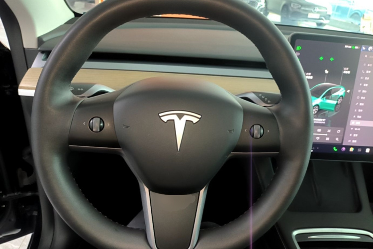 Tesla Model Y 2023 car image #11