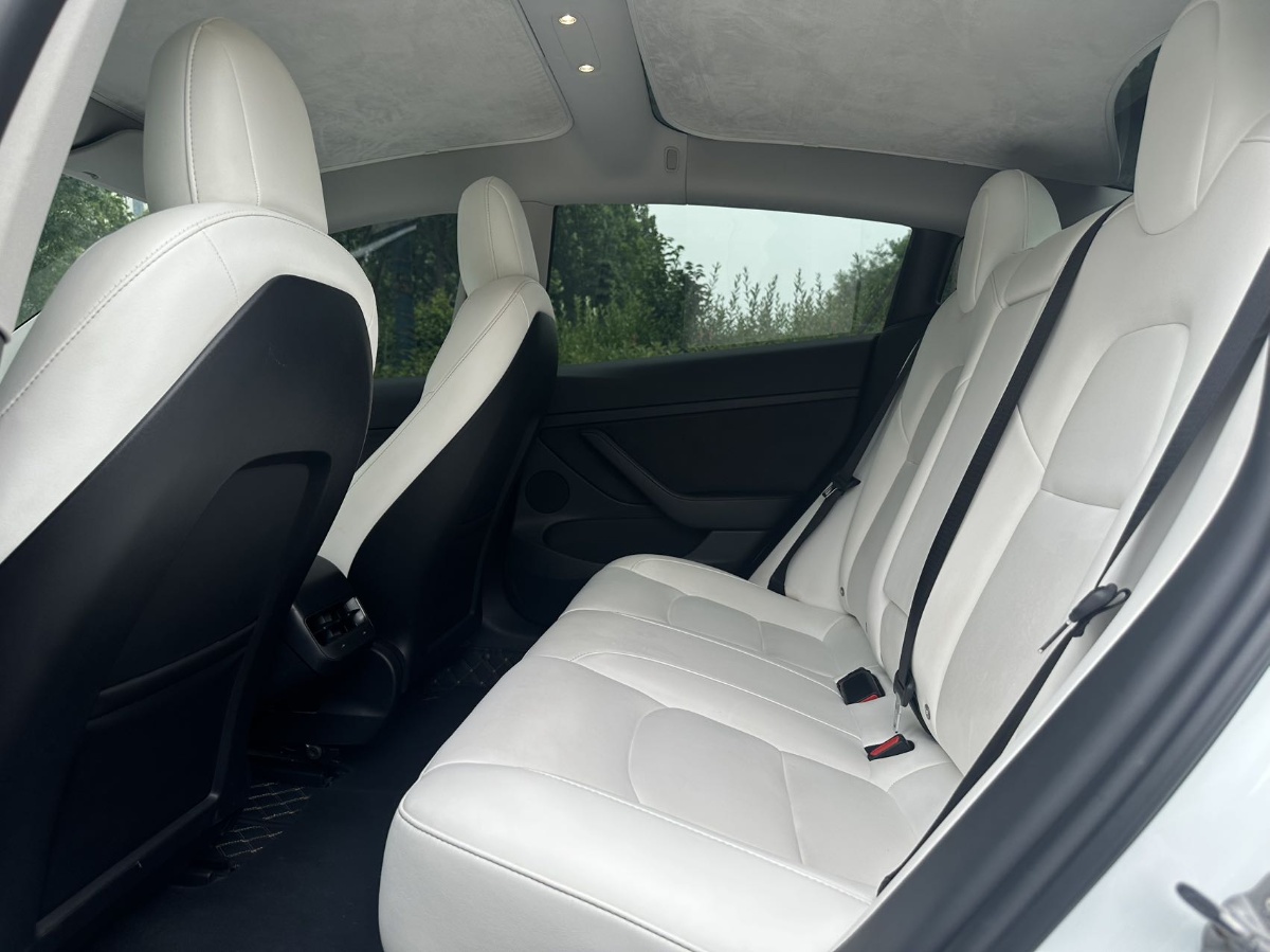 Tesla Model 3 2021 #5 Tesla Model 3 2021 car image #5