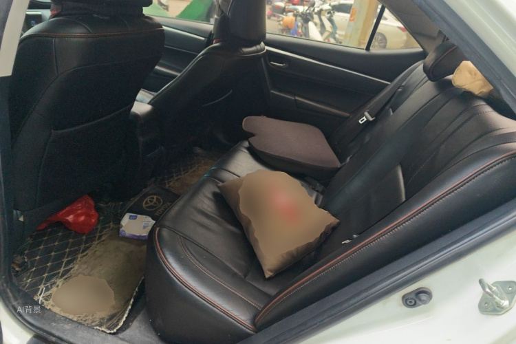 Toyota Corolla 2019 car image #19