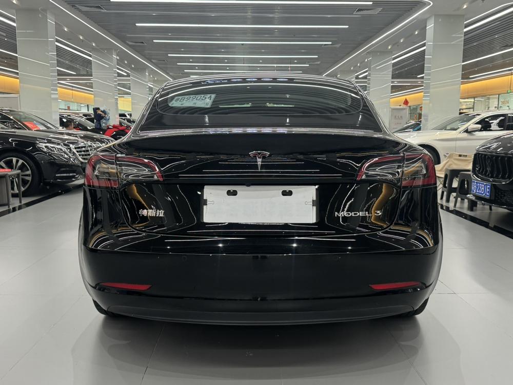 Tesla Model 3 2021 car image #5