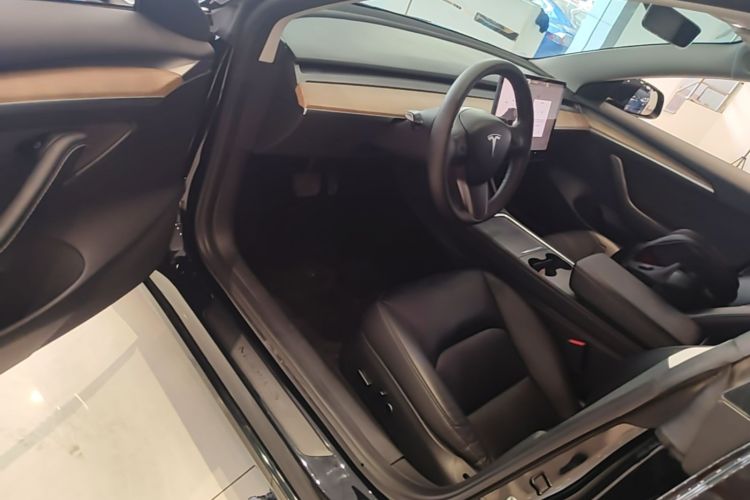 Tesla Model 3 2023 car image #16
