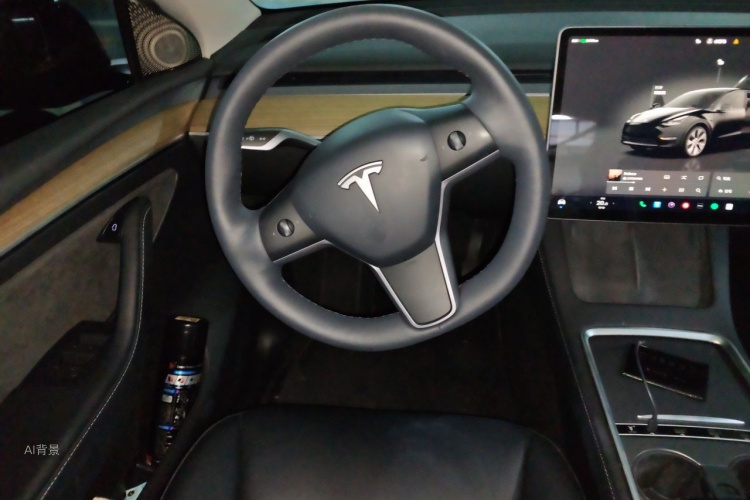 Tesla Model Y 2022 car image #12