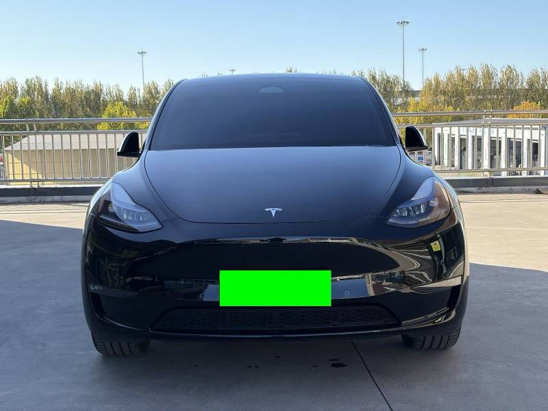 Tesla Model Y 2024 car image #2