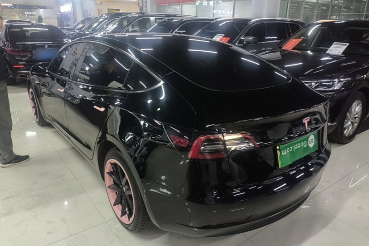 Tesla Model 3 2023 #5 Tesla Model 3 2023 car image #5