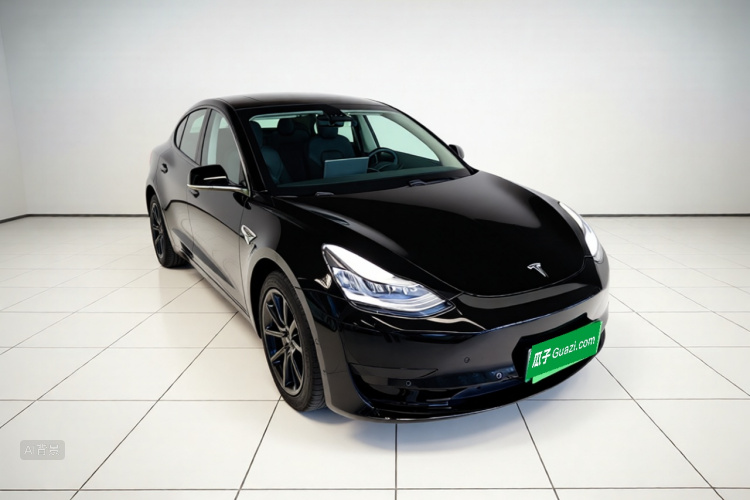 Tesla Model 3 2020 car image #4
