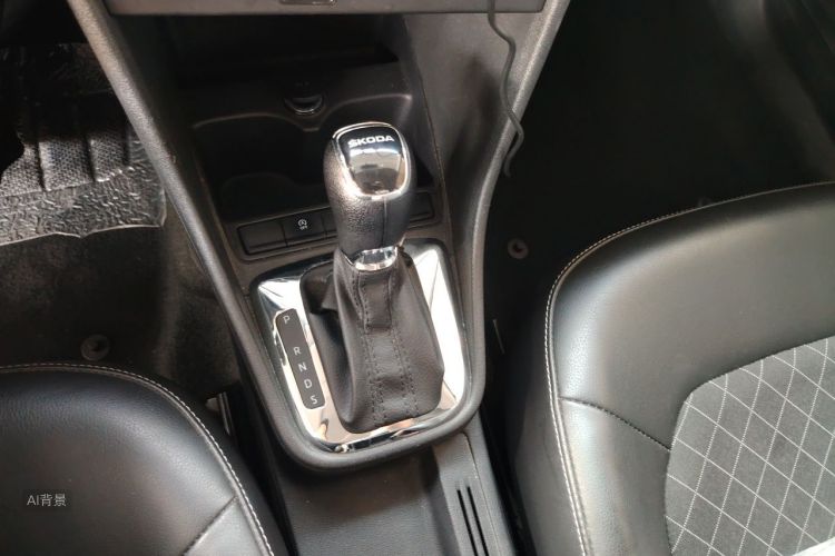 Skoda Rapid 2019 car image #16