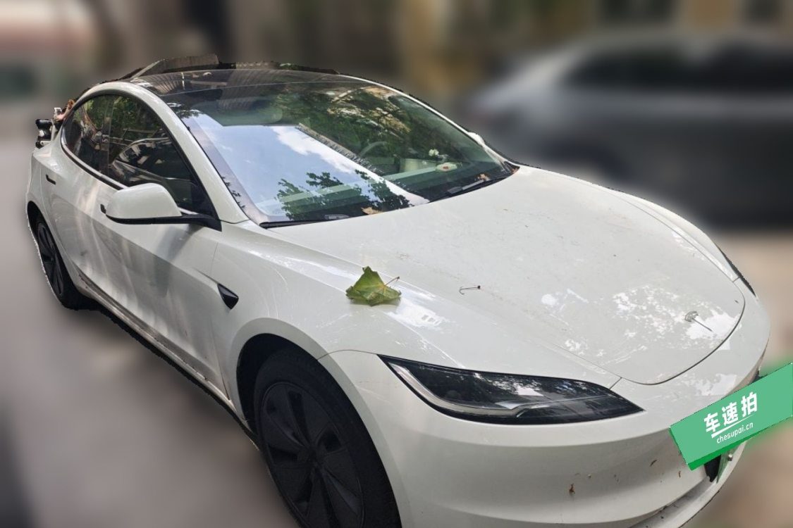 Tesla Model 3 2023 #2 Tesla Model 3 2023 car image #2