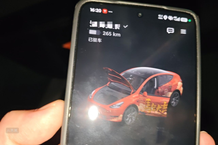Tesla Model Y 2023 #10 Tesla Model Y 2023 car image #10