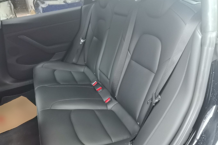 Tesla Model 3 2021 immagine di auto #17
