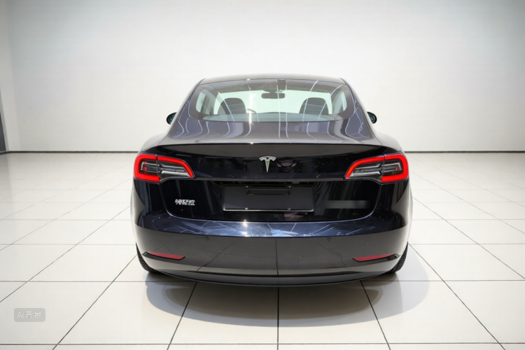 Tesla Model 3 2021 car image #6
