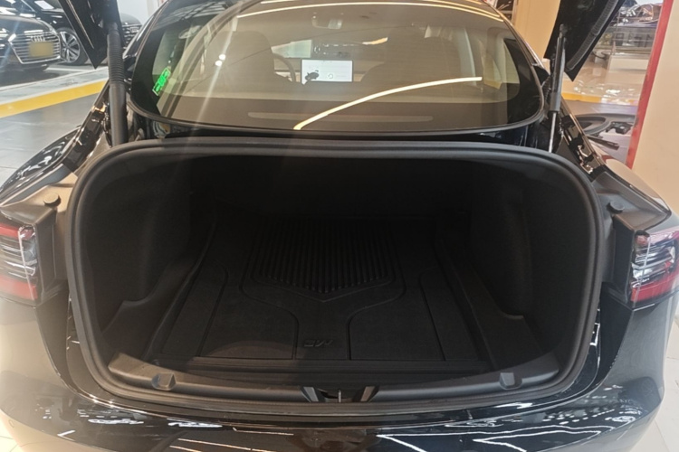 Tesla Model 3 2021 #21 Tesla Model 3 2021 car image #21