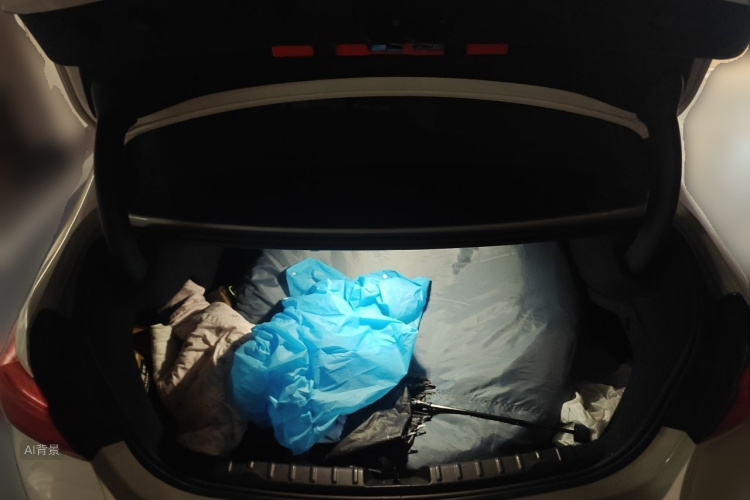 BMW 3 Series 2019 car image #21