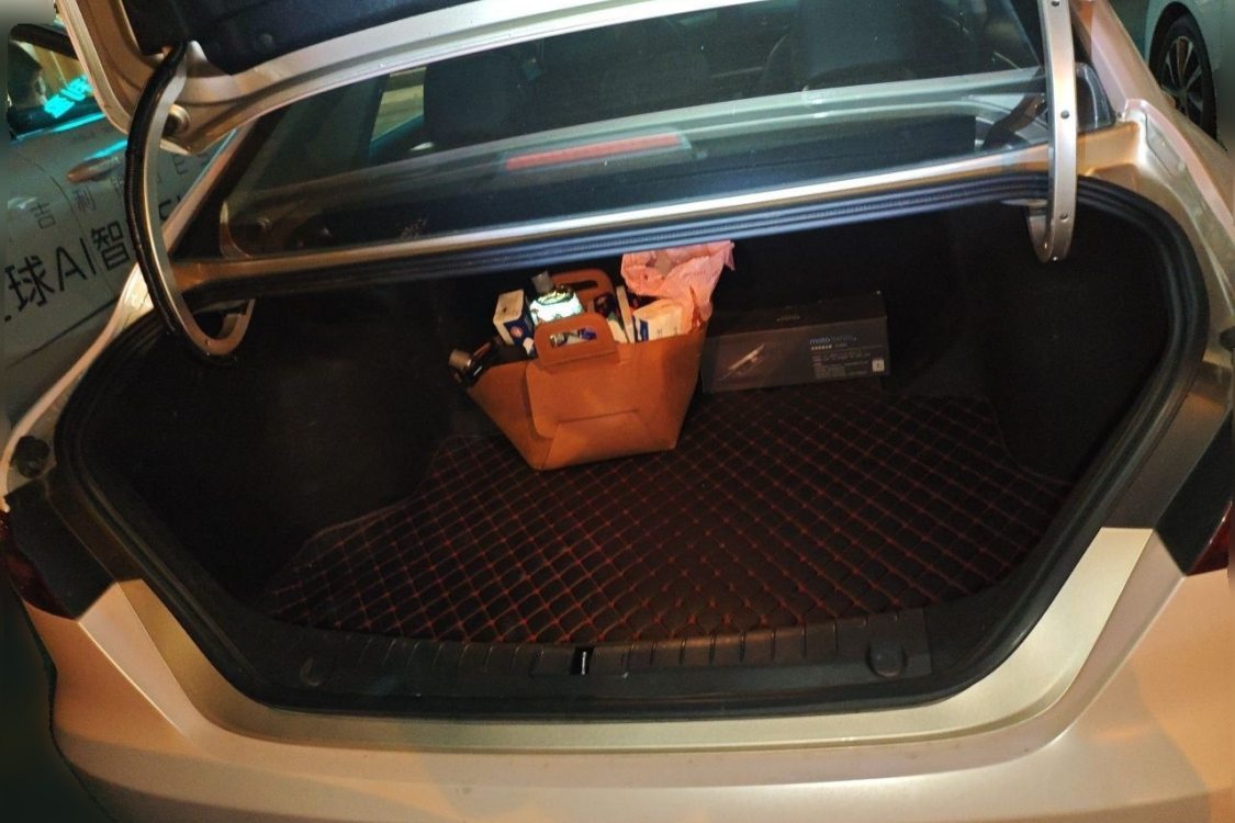 GEELY Binray 2020 #8 GEELY Binray 2020 car image #8