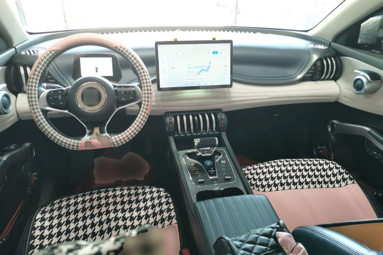 BYD Yuan Plus 2022 car image #10