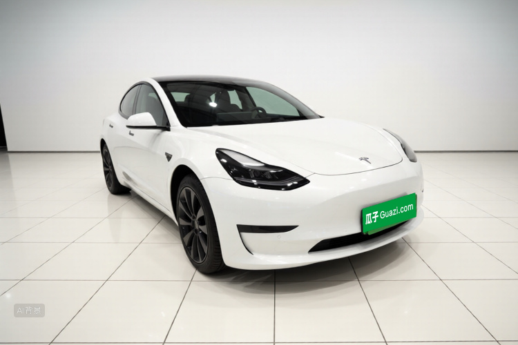 Tesla Model 3 2021 #4 Tesla Model 3 2021 car image #4