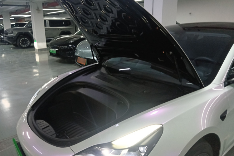 Tesla Model 3 2021 #22 Tesla Model 3 2021 car image #22