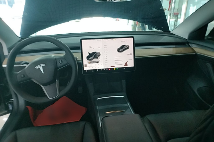 Tesla Model 3 2022 #10 Tesla Model 3 2022 immagine di auto #10