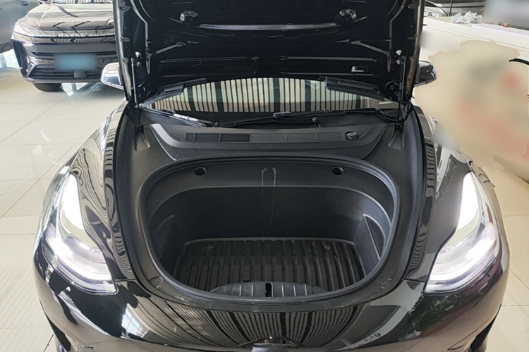 Tesla Model 3 2021 car image #20