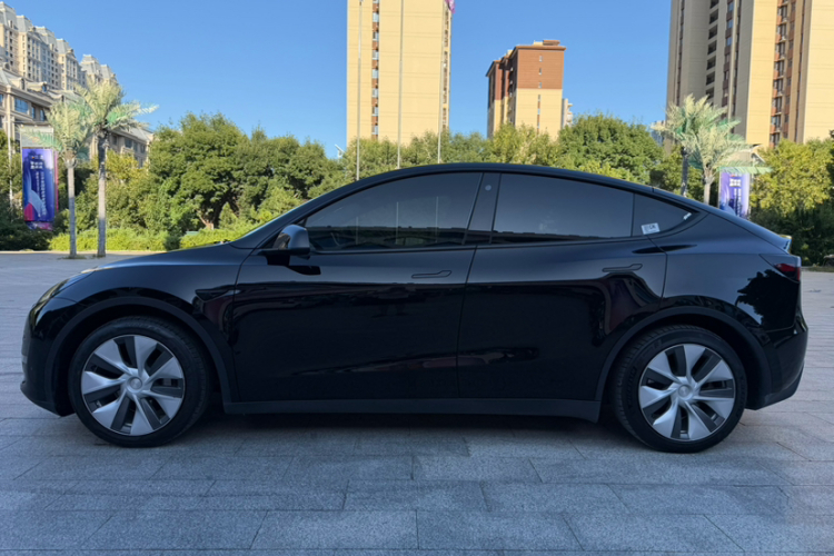 Tesla Model Y 2021 car image #4