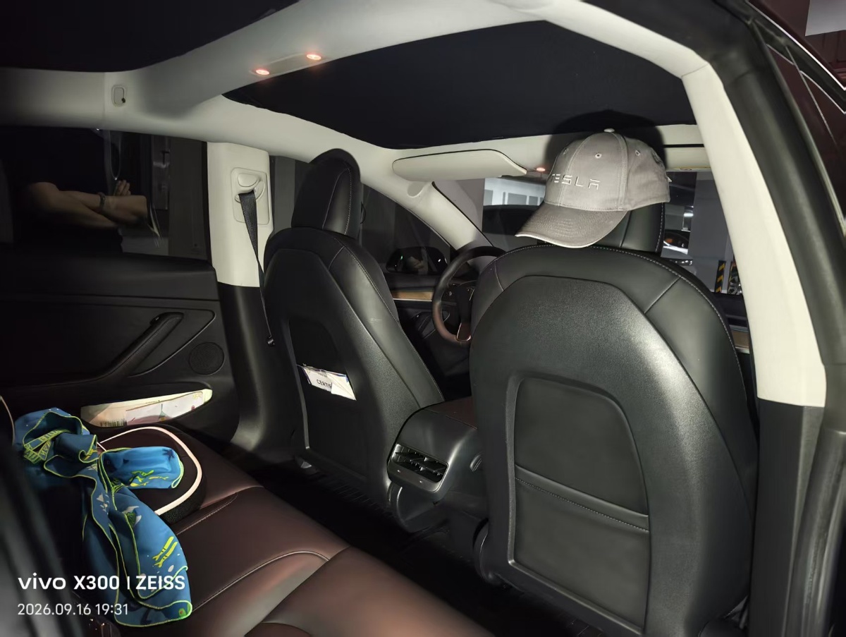 Tesla Model 3 2021 #3 Tesla Model 3 2021 car image #3